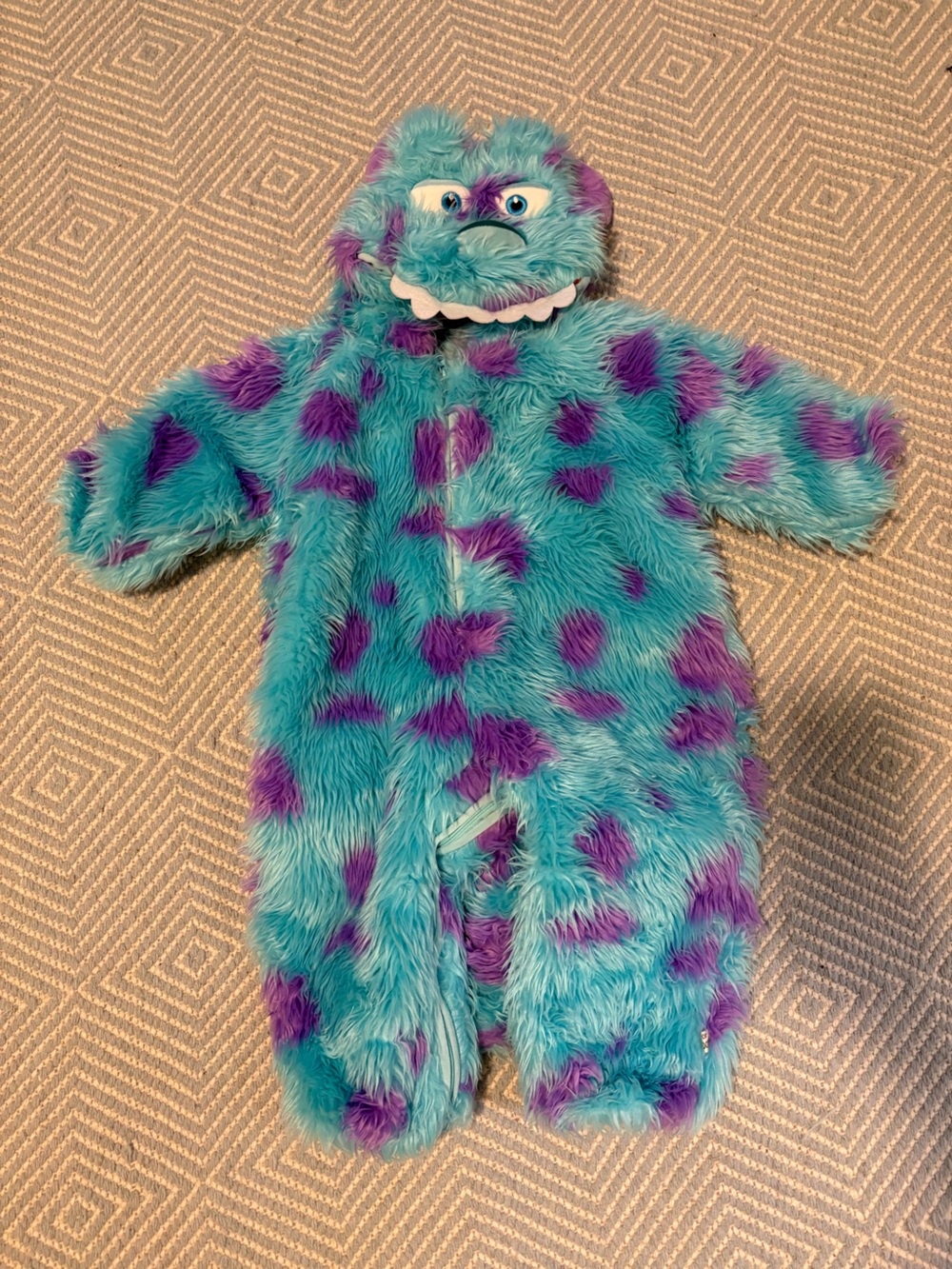 Toddler Sully Costume
